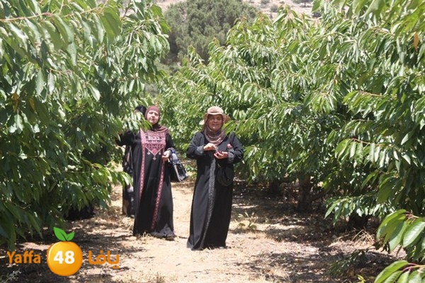 bayareq re7la shamal 0612 (46).JPG